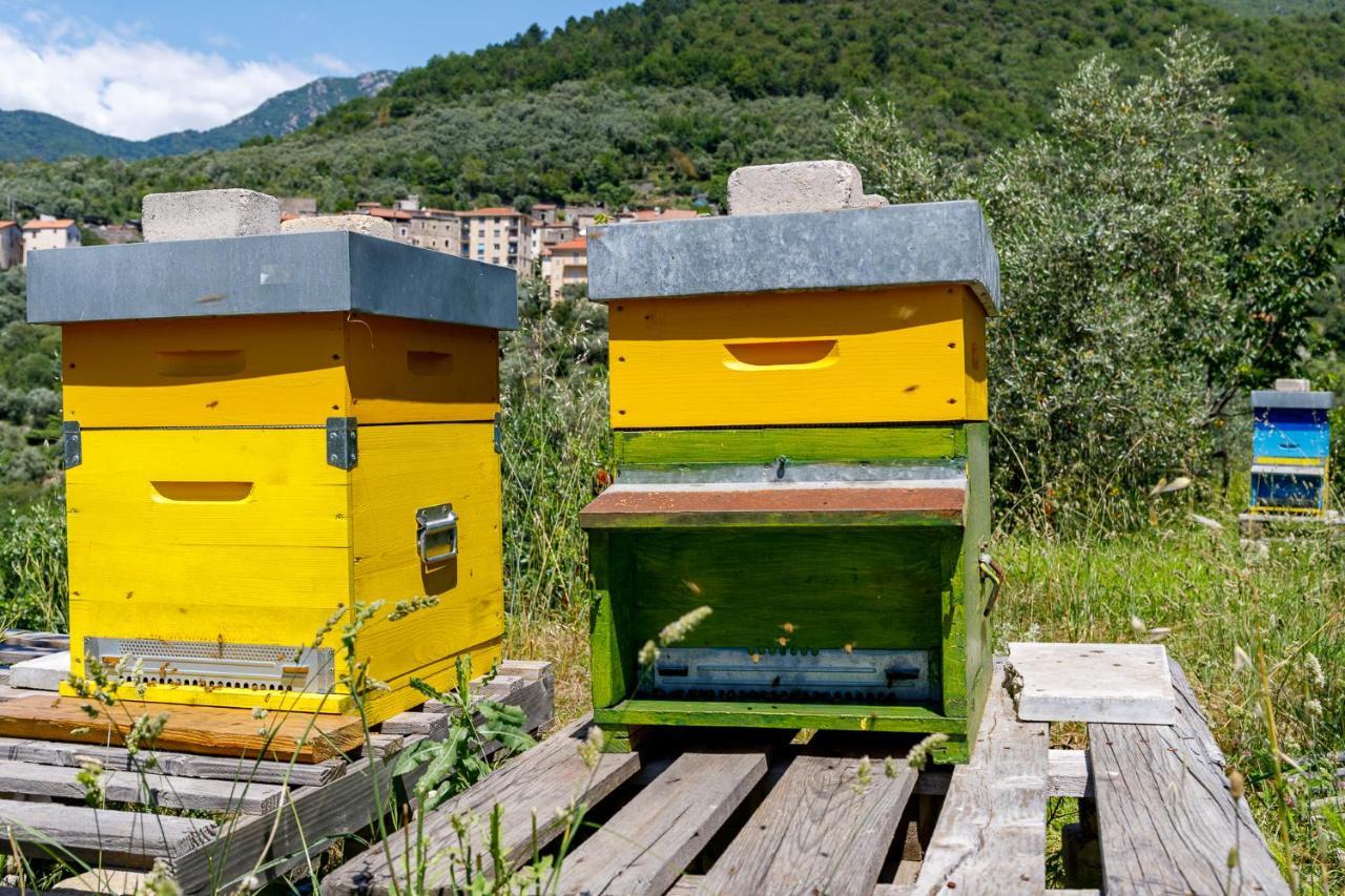 Arve Castelbianco - B&B E Appartamento Colletta Exterior photo